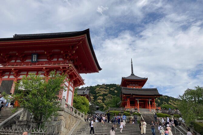 Kyoto Private magical Tour with a local guide - Who Should Consider This Tour?