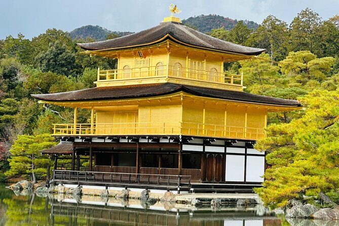 Kyoto Private Sightseeing Tours with English Speaking Driver - An In-Depth Look at Kyoto Private Sightseeing with an English-Speaking Driver