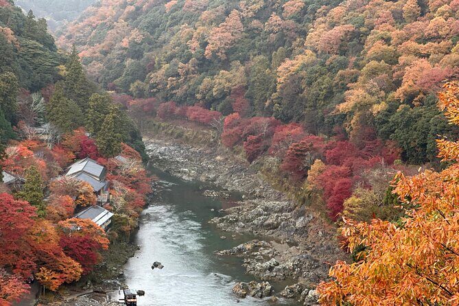 Kyoto Private Sightseeing Tours with English Speaking Driver - Why Choose This Tour?