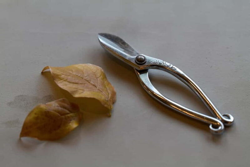 Kyoto: Private Tea Ceremony and Ikebana 2 Experiences - Frequently Asked Questions