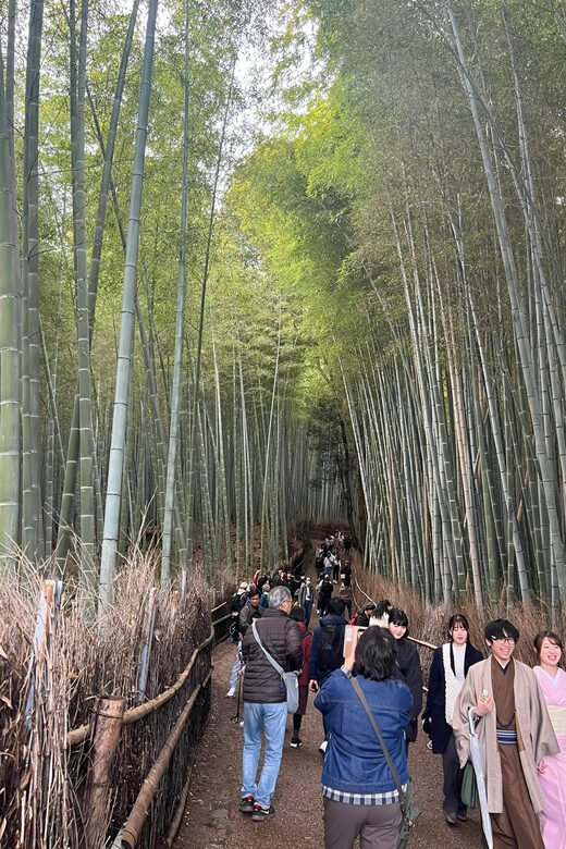 Kyoto: Private tour, Arashiyama, Bamboo Forests and Sacred Temples - Who Will Love This Tour?