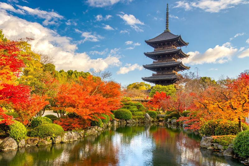 Kyoto Private Tour: Custom Highlights with a Licensed Guide - Nishiki Market brings the city’s food culture close