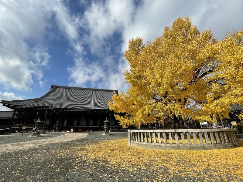 Kyoto Private Tour: Custom Highlights with a Licensed Guide - Walking, transport, and the real cost