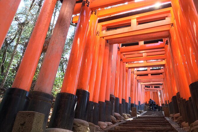 Kyoto Private Tour with National Licensed Guide - What Travelers Should Know