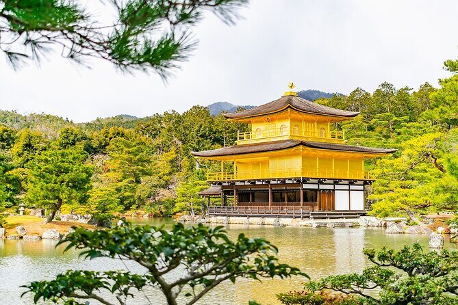 Kyoto Private Tour with National Licensed Guide - FAQ