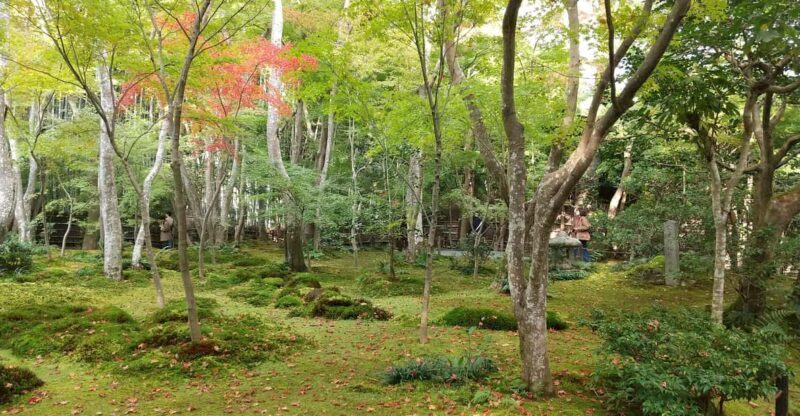 Kyoto: Quiet Arashiyama and Sagano Temples Guided Tour - Key Points