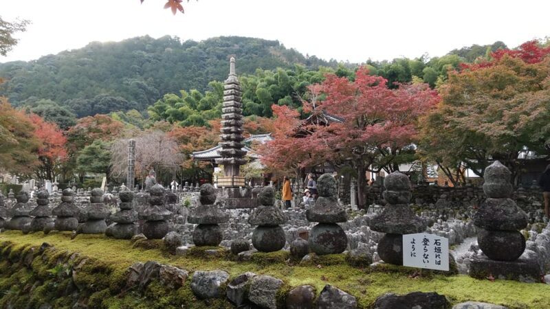 Kyoto: Quiet Arashiyama and Sagano Temples Guided Tour - A Deep Dive into the Experience