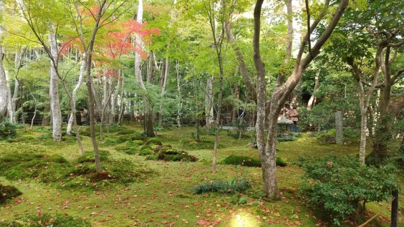 Kyoto: Quiet Arashiyama and Sagano Temples Guided Tour - FAQs