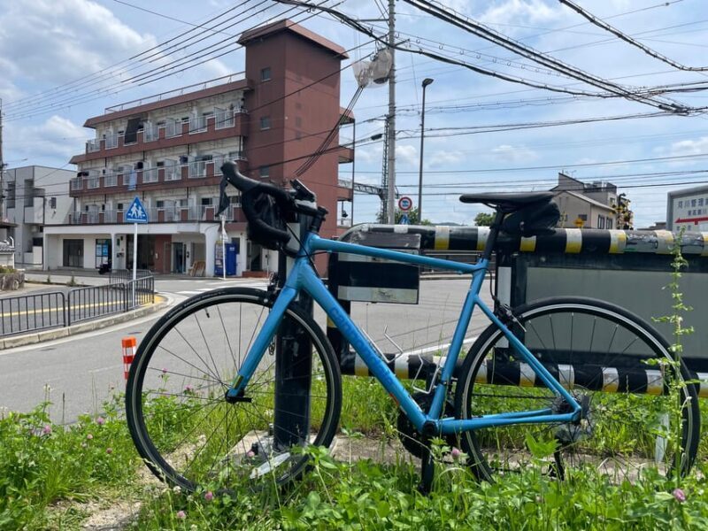 Kyoto: Rent a Road Bike in Kyoto and return in Osaka! - Exploring the Route Options and What You Can Expect