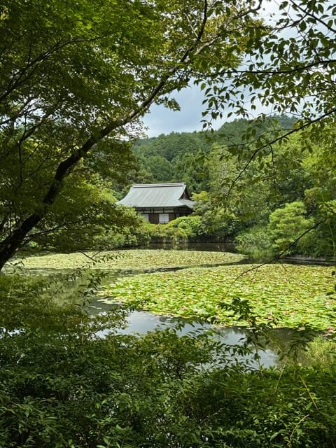Kyoto: Ryan-ji, Greatest Zen Garden Guided Tour in 90 Min. - An In-Depth Look at the Tour