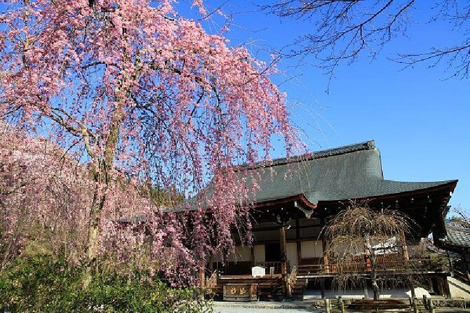 Kyoto Sagano Bamboo Grove & Arashiyama Walking Tour - Key Points