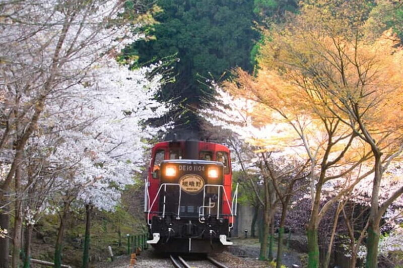 Kyoto: Sagano Romantic Train and Hozugawa River Cruise - An In-Depth Look: What Makes This Tour Special