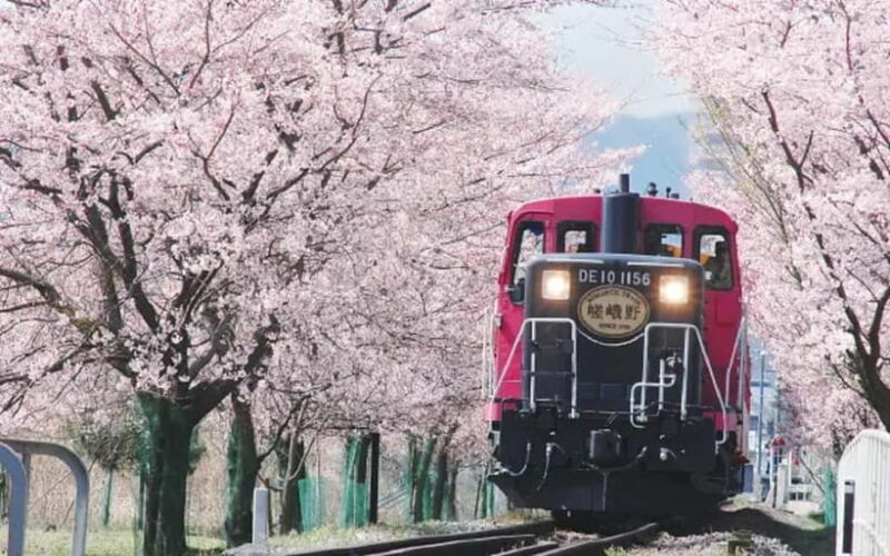 Kyoto: Sagano Romantic Train and Hozugawa River Cruise - Wrap-up: Why choose this experience?