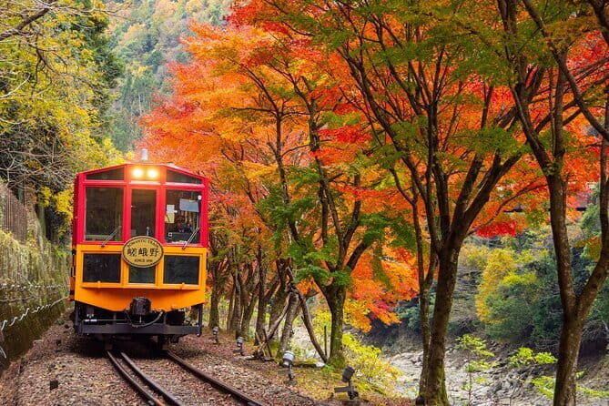 Kyoto Sagano Romantic Train in Arashiyama Bus Tour - A Deep Dive into the Experience
