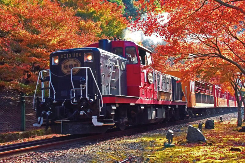 Kyoto Sagano Romantic Train in Arashiyama Bus Tour - A Detailed Look at the Tour