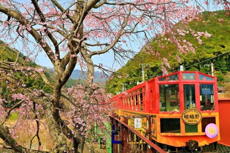 Kyoto: Sagano Scenic Railway, River Cruise, & Sake Tour - What This Tour Really Means for You