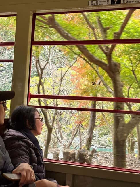 Kyoto: Sagano Scenic Railway, River Cruise, & Sake Tour - FAQ