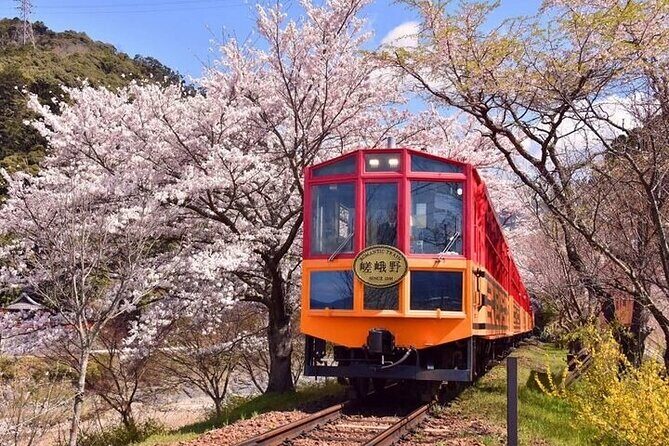 Kyoto Sansen-in Arashiyama Train 1 Day Tour from Osaka or Kyoto - Who Will Love This Tour?