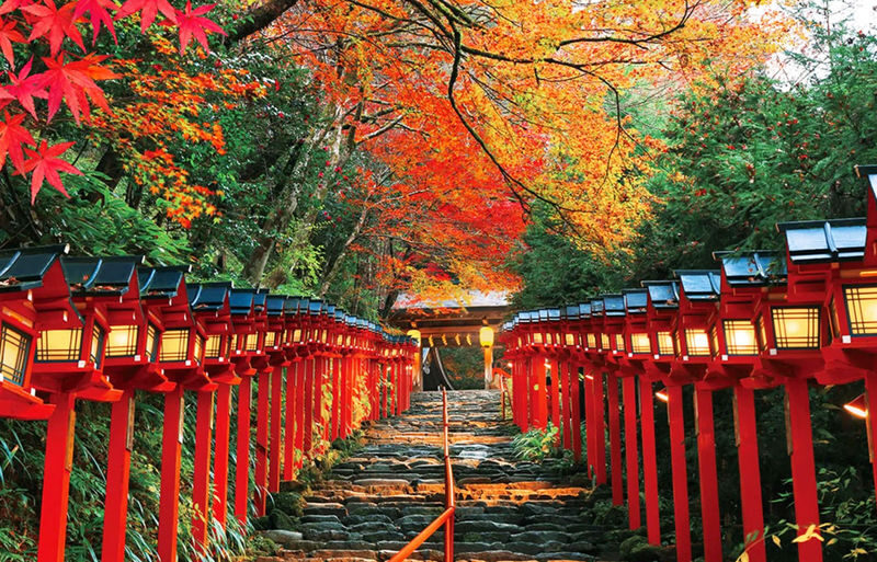 Kyoto Sanzen-in, Kifune Shrine, and Arashiyama Small Group Day Tour (Driver-Guide Service) - The useful details at a glance