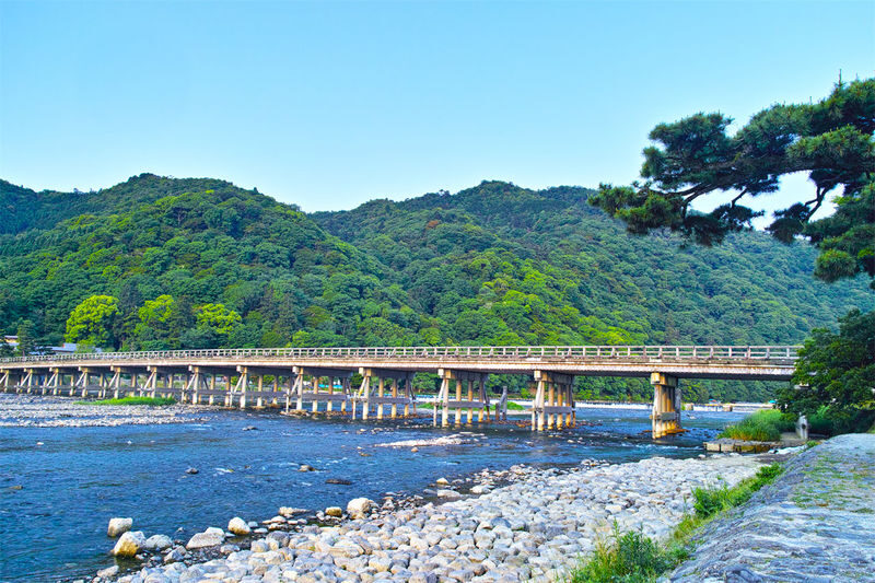 Kyoto Sanzen-in, Kifune Shrine, and Arashiyama Small Group Day Tour (Driver-Guide Service) - What the driver-guide service can mean