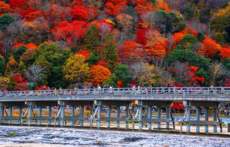 Kyoto Sanzen-in, Kifune Shrine, and Arashiyama Small Group Day Tour (Driver-Guide Service) - Is the ride worth it compared with going alone?