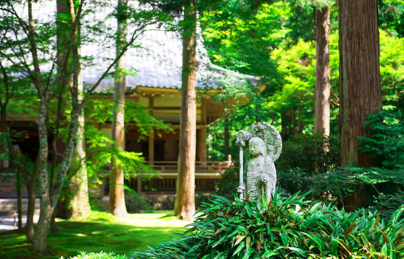 Kyoto Sanzen-in, Kifune Shrine, and Arashiyama Small Group Day Tour (Driver-Guide Service) - Who should choose this day tour?