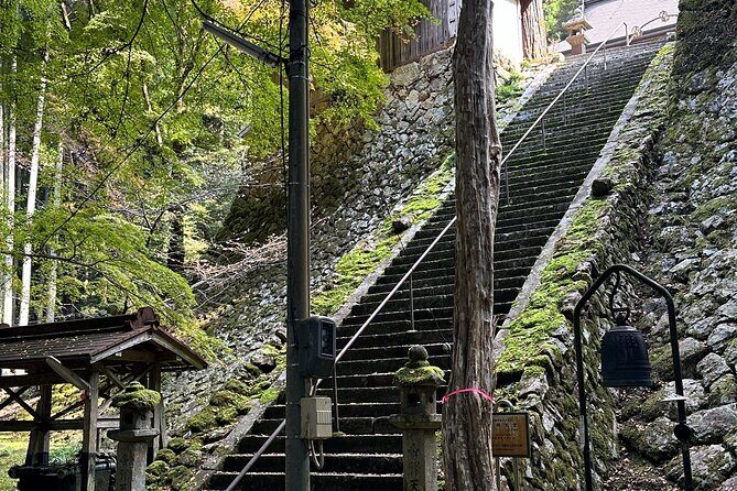 Kyoto Satoyama Cycling with Lunch and English guide - The Sum Up