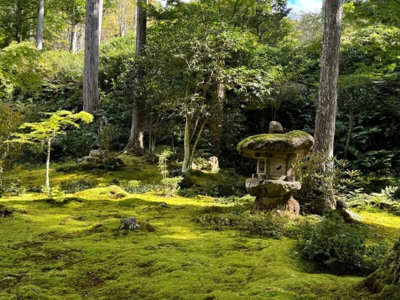 Kyoto: Scenic Day Trip to Ohara and Sanzen-in Temple - Pricing & Value