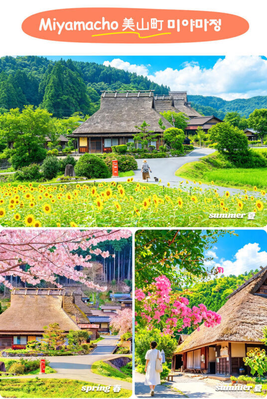 Kyoto Sea and Sky Secret Realm and Mountain Fairy Tale | Amanohashidate, Ine Funaya, Miyama Thatched Village Day Trip | Departing from Osaka - What the pace feels like