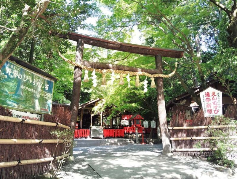 Kyoto: Serene Morning Walk in Arashiyama Bamboo Grove - Key Points