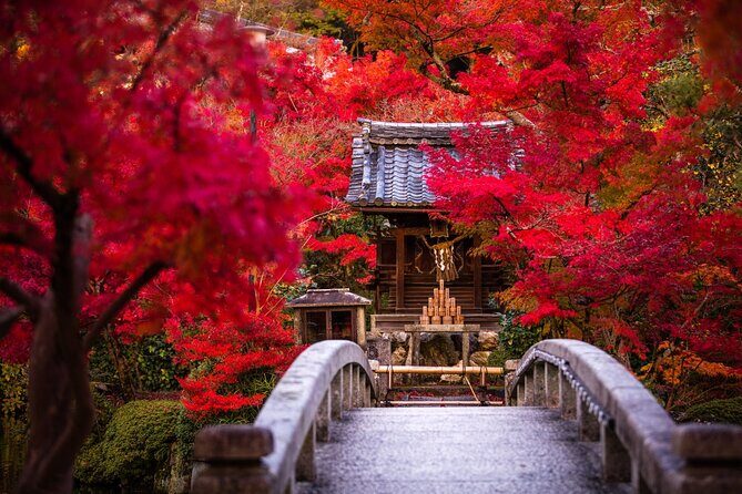 Kyoto: Serene Stroll Through Eikandos Timeless Temple Paths - A Gentle Walk into Kyoto’s Spiritual Heart