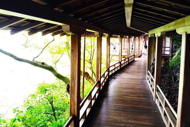 Kyoto: Serene Stroll Through Eikandos Timeless Temple Paths - Who Should Consider This Tour?