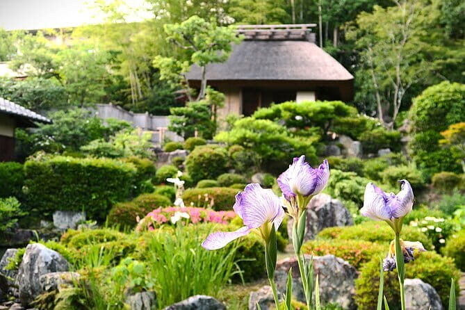 Kyoto Shogun Cycling Tour - An In-Depth Look at the Kyoto Shogun Cycling Tour