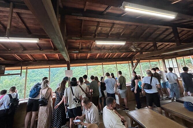 Kyoto Shore Excursion from Osaka with Japanese Guide - A Detailed Look at the Kyoto Shore Excursion from Osaka