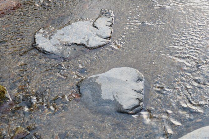 Kyoto Spiritual Conversations & Mindful Encounters PRIVATE Tour - Quick Overview