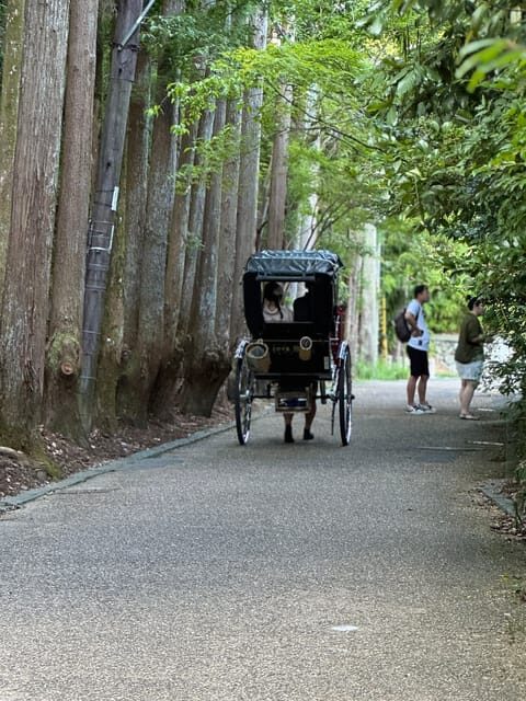 Kyoto: Stroll around the Depths of Arashiyama - Discovering Arashiyama: A Guided Walk Through Kyoto’s Hidden Charms