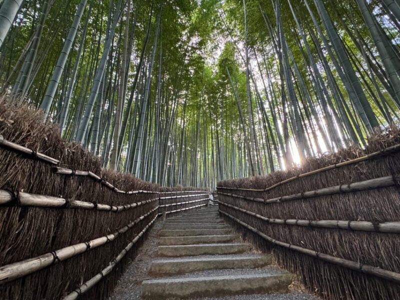 Kyoto: Stroll around the Depths of Arashiyama - Practical Details and Tips