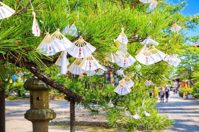 Kyoto Tango Coast Secret: Amanohashidate, Ine Funaya, Ine Bay Day Trip (Departing from Osaka or Kyoto) - The Matsuba crab lunch: a regional extra to check carefully