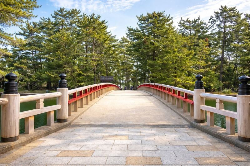 Kyoto Tango Coast Secret: Amanohashidate, Ine Funaya, Ine Bay Day Trip (Departing from Osaka or Kyoto) - Guides, languages, and the feel of a group day