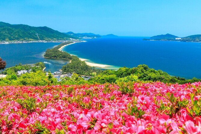 Kyoto Tango Railway Amanohashidate and Ine Bay Trip from Osaka - Final Thoughts