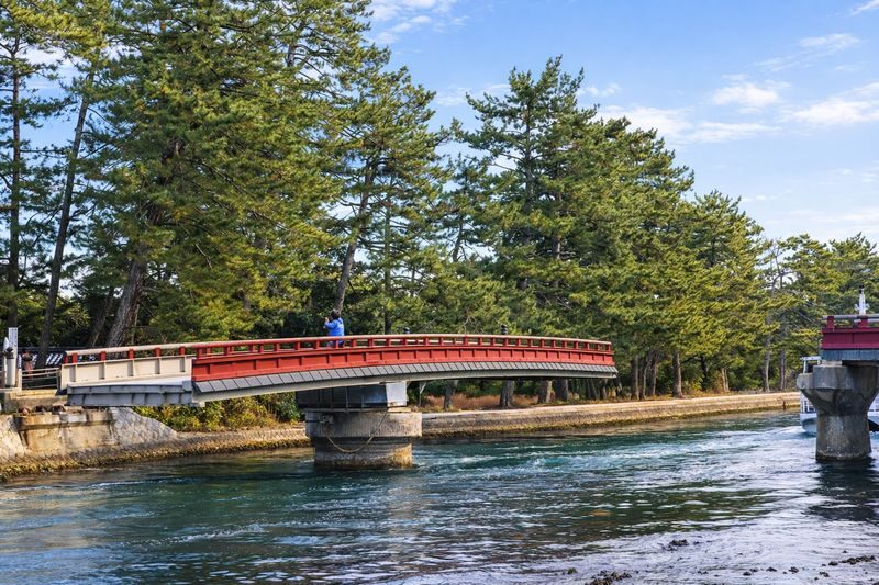 Kyoto: Tango Railway Sea Train & Amanohashidate & Ine Boathouse Cruise Day Trip (From Osaka) - Who should choose this tour