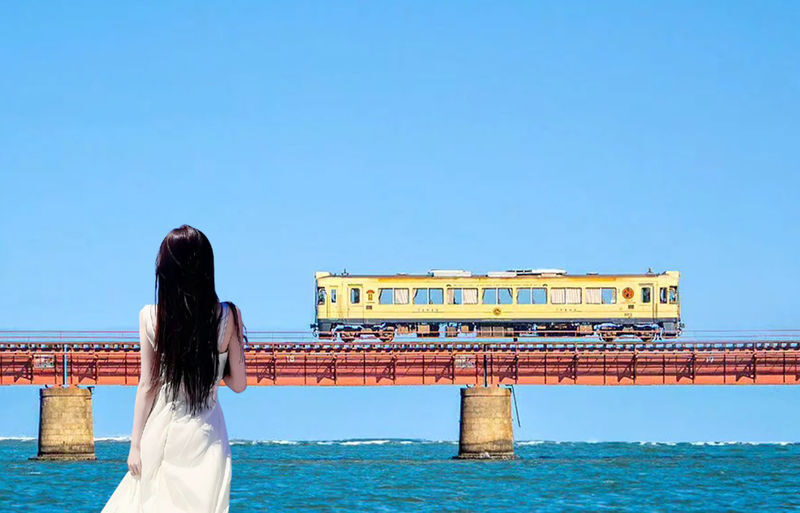 Kyoto - Tango Sea Train & Amanohashidate Cable Car & Ine Boathouse Boat Tour (Departure from Osaka) - At a glance