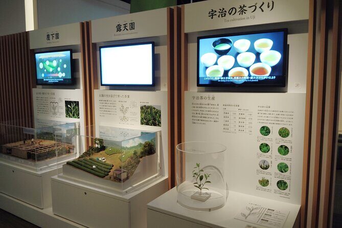 Kyoto: Tea Museum and Tsuen Teahouse Guided Tour - A Closer Look at the Tour Experience