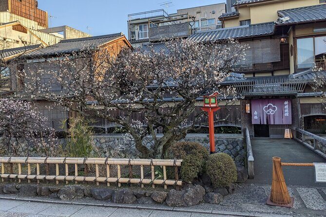 Kyoto-The City of the Dreams! - An In-Depth Look at the Kyoto Walking Tour