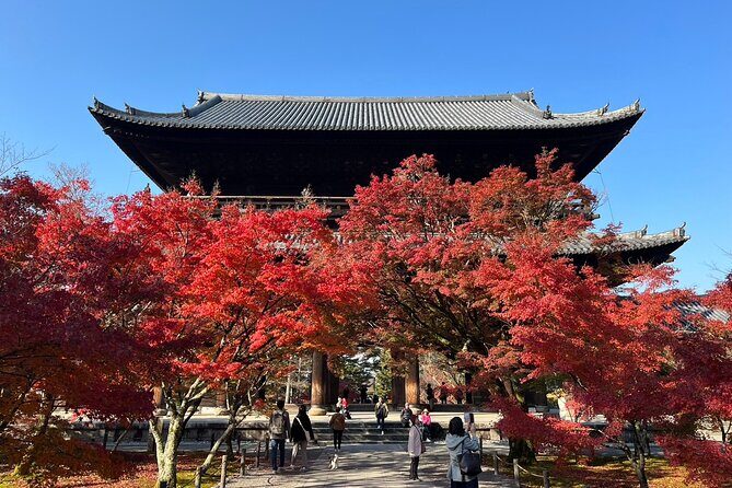Kyoto Timeless Rickshaw Private Tour - FAQ