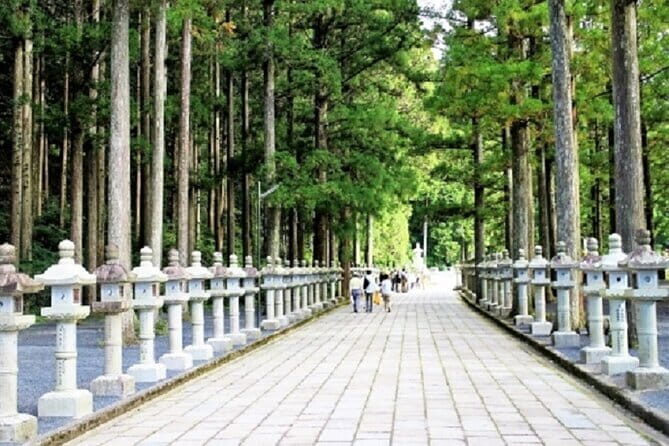 Kyoto to Mt. Koya One Day Walking Tour - The Value of This Tour