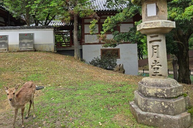 Kyoto to Nara Day Trip 6 Hour Private Tour with Deer and Temples - Who Should Consider This Tour?