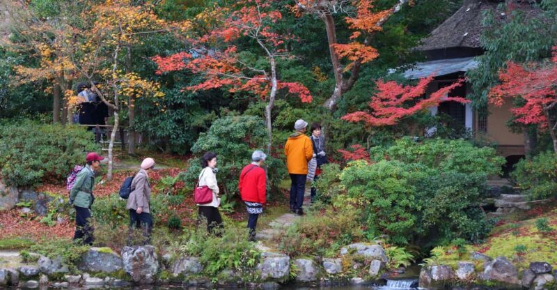 Kyoto to Nara: Private Day Trip with a Local - Final Thoughts