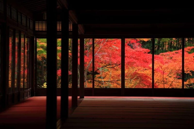 Kyoto Top Highlights Full-Day Trip from Osaka - Exploring the Route: What to Expect on This Tour