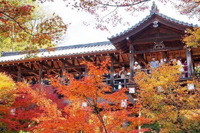Kyoto tour 12 hours Private Nagoya pick up available - Who Will Love This Tour?